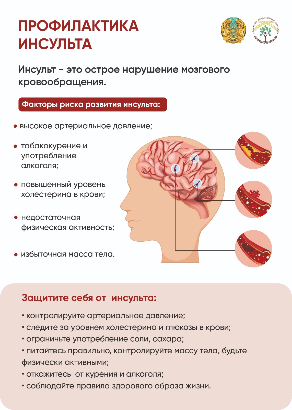 WhatsApp Image 2025-10-29 at 10.48.09