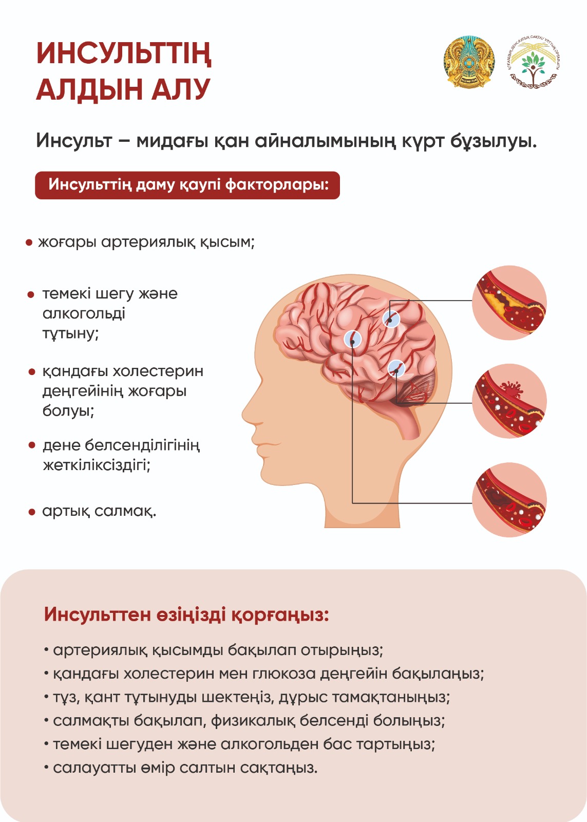 WhatsApp Image 2025-10-29 at 10.48.24